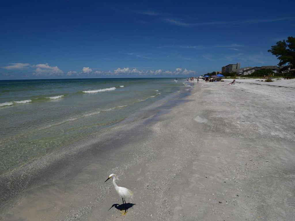 Gulf Retreat 2: Magnificent Water Views, Steps To Beach, None Cleaner, None Nicer! Clearwater Beach Exterior foto